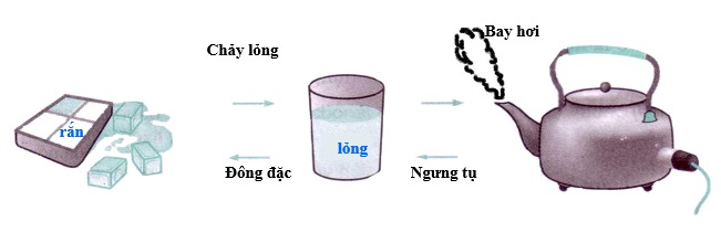 Sự chuyển đổi giữa các trạng thái